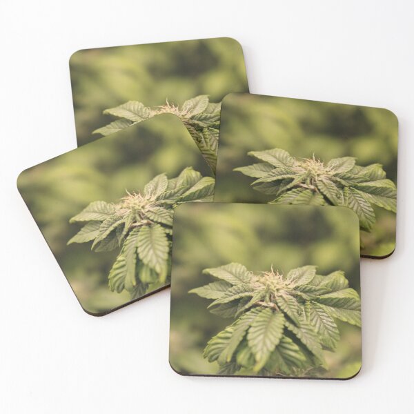 Item preview, One Little Bud  designed and sold by PhrozenPhotos.