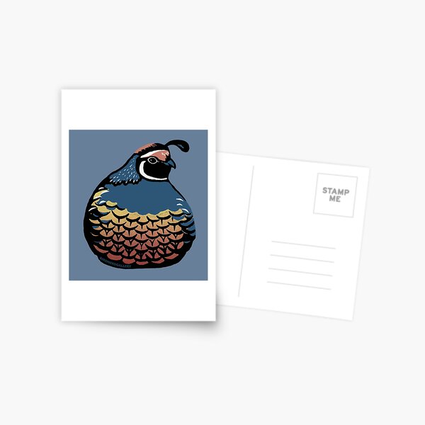 Plump Quail Linocut Bird Postcard