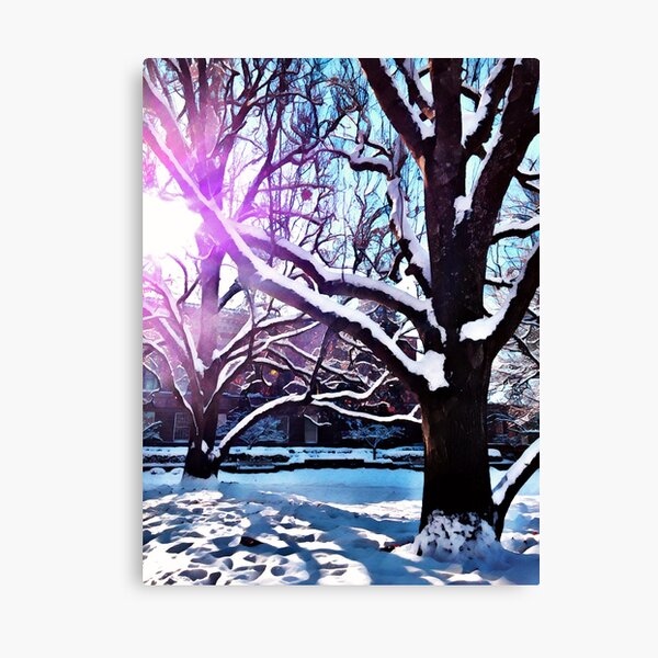 Item preview, Snowy Trees designed and sold by beck113.