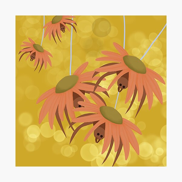 Spider Plant Photographic Print