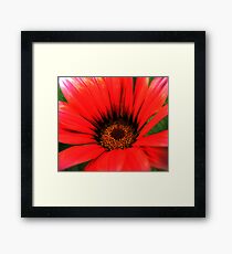 FLORA Framed Print