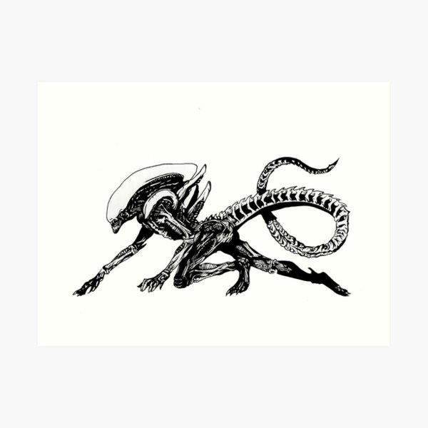 Xenomorph Art Prints | Redbubble