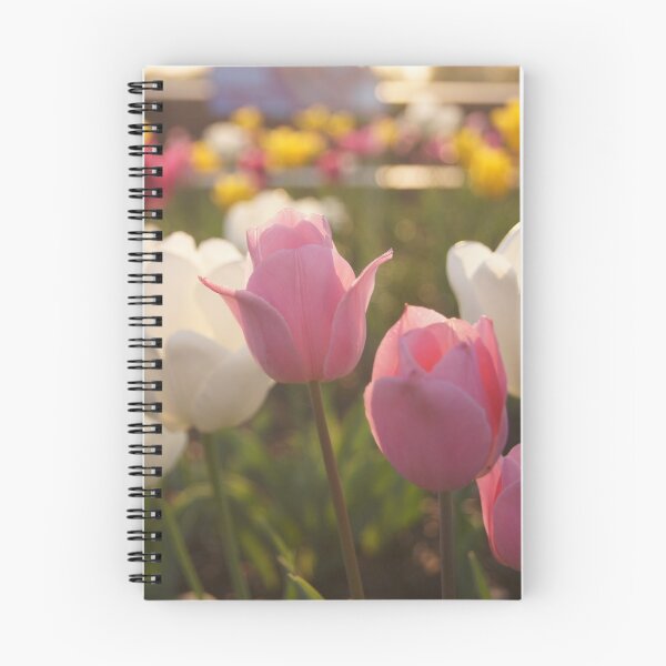 Aperçu de l'œuvre Jardin des tulipes à l'heure d'or créée et vendue par Offshoots12.