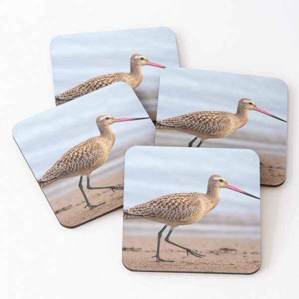 Item preview, Bar Tailed Godwit designed and sold by pugmom4.