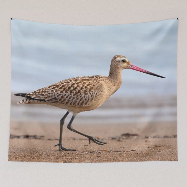 Item preview, Bar Tailed Godwit designed and sold by pugmom4.