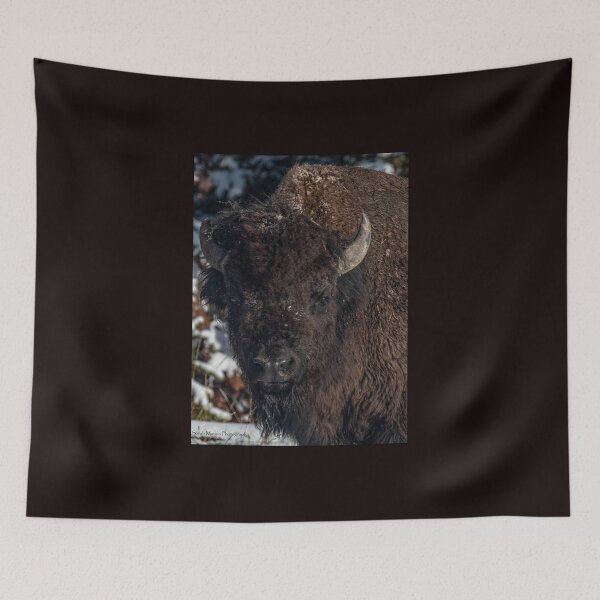 Item preview, Buffalo in snow designed and sold by Sarah Matula Photography.