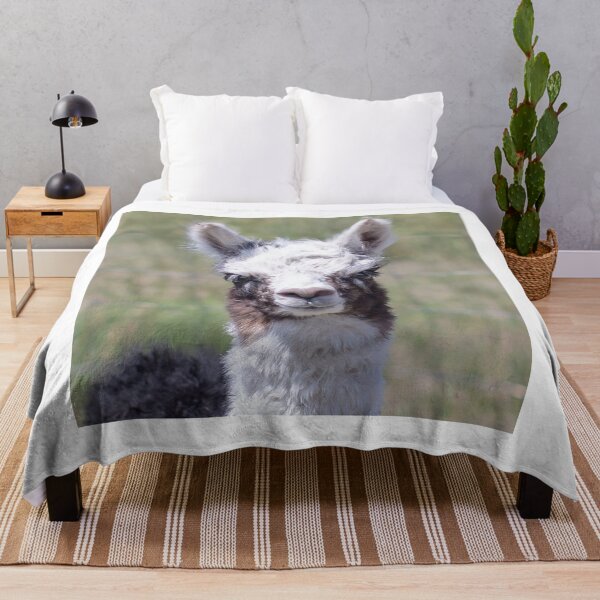Item preview, Baby Llama Alpaca designed and sold by Sarah Matula Photography.
