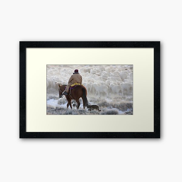 Sheep Herder, Wyoming Framed Art Print