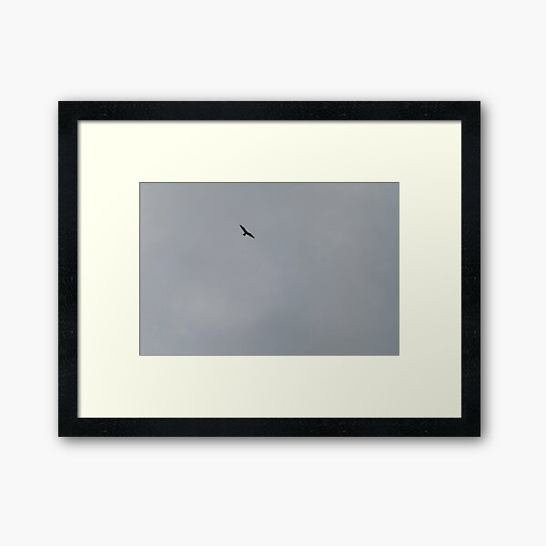Item preview, Hawk looking down from the sky designed and sold by NezWez.