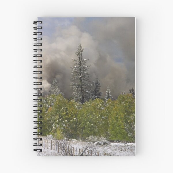 Item preview, Steam train approaching through the trees designed and sold by Spattergull.