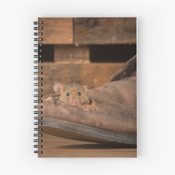 Item preview, mouse in old boot designed and sold by alan tunnicliffe.