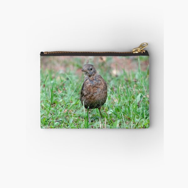 Item preview, Common starling   ( Sturnus vulgaris ) designed and sold by Wizi-Top.