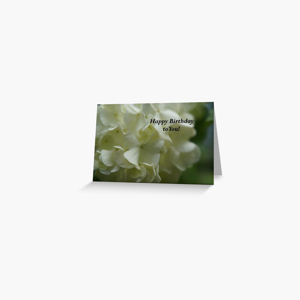 Happy Birthday Card 3 Greeting Card