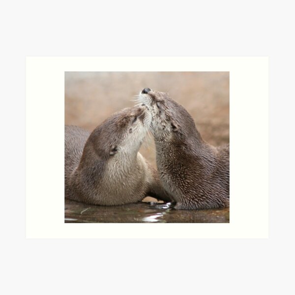 Otter kisses Art Print