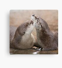 Otter kisses Canvas Print