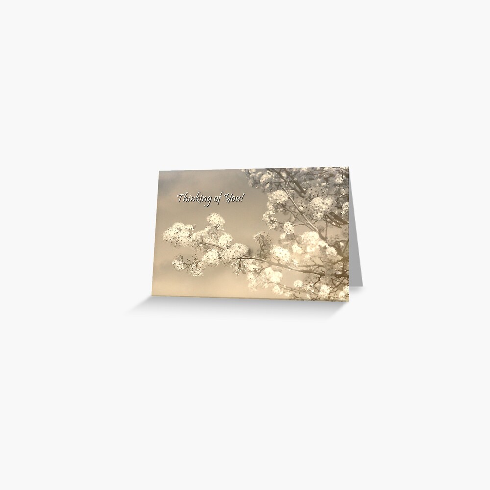 Thinking in the Garden Greeting Card