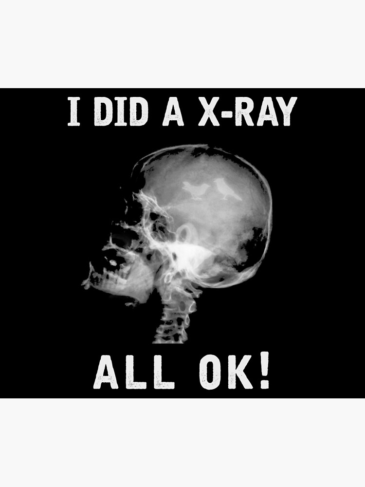 "Funny XRay X Ray Picture of the Skull I Did a XRay All OK with Birds