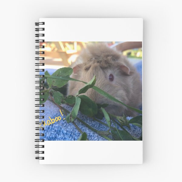 Aperçu de l'œuvre Lilas le cochon d'Inde créée et vendue par Doloace.