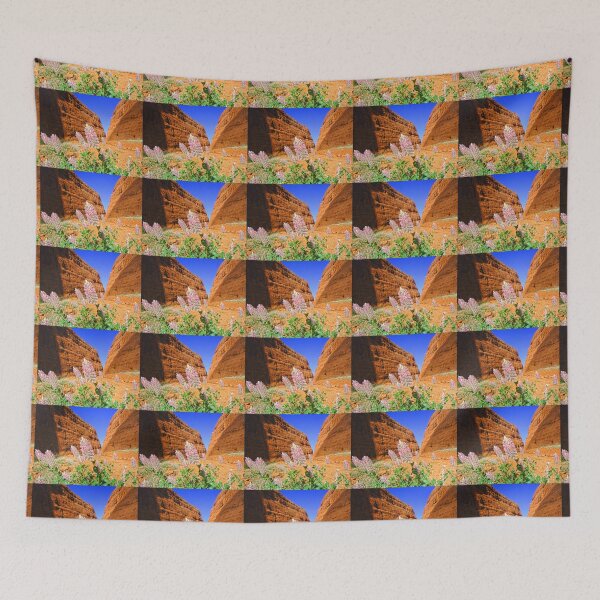 Item preview, The Olgas Gorge. Uluru-Kata Tjuta National Park. Australia designed and sold by vadim19.