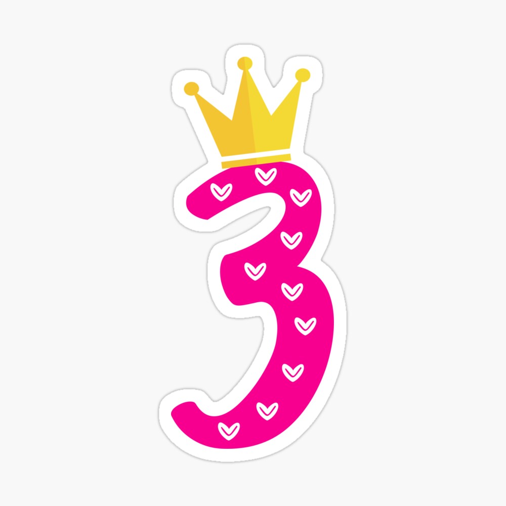 Gift Ideas The Princess Is 3-3rd Birthday Gift T-Shirt For 3 Year Old Girls 