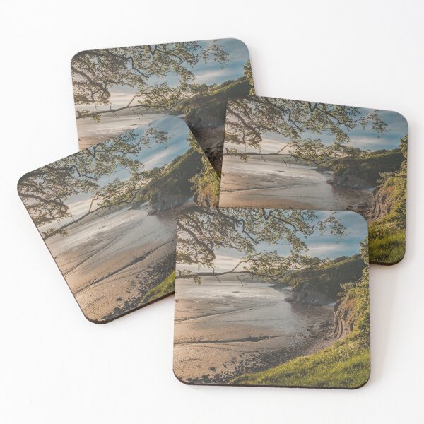 Item preview, Silverdale Coast & Cove designed and sold by nickelsby.