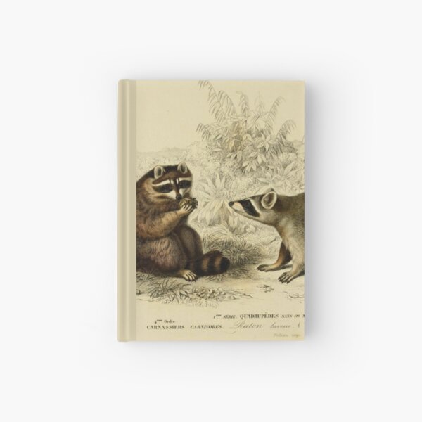 Item preview, Naturalist Raccoon designed and sold by BlueSpecsStudio.