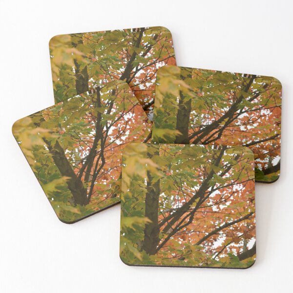 Item preview, Autumn Leaves designed and sold by KPhotographyNJ.