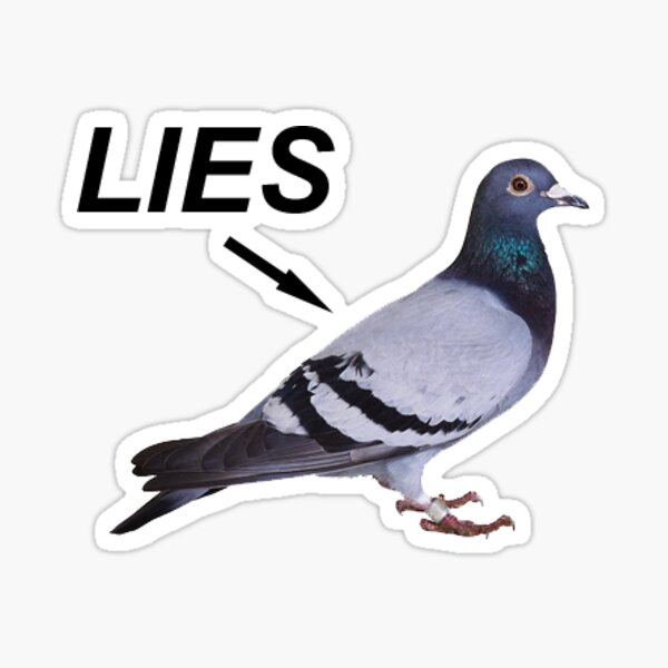 Bird is a Lie Sticker