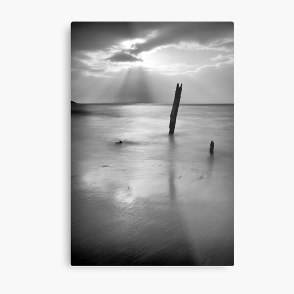 Agaze Metal Print