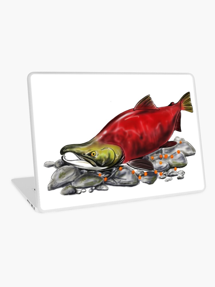 Sockeye Salmon Digital Drawing By Antartoutdoors Laptop Skin By Antartoutdoors1 Redbubble