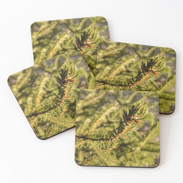 Item preview, Pine Leaf designed and sold by Luigi Veggetti.