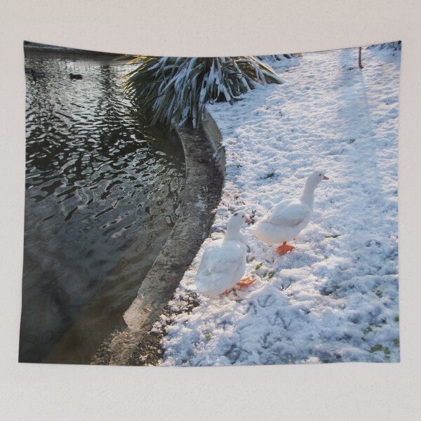 Item preview, WHITE DUCKS WALKING IN THE SNOW ,WINTER LANDSCAPE IN TUSCANY FLORENCE Photo designed and sold by BulganLumini.