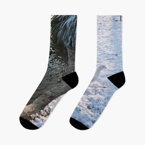 Item preview, WHITE DUCKS WALKING IN THE SNOW ,WINTER LANDSCAPE IN TUSCANY FLORENCE Photo designed and sold by BulganLumini.