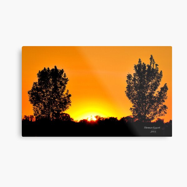 Good Night Metal Print
