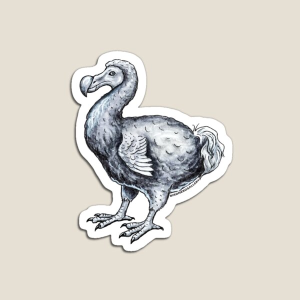 Dodo Bird Ink Drawing Magnet