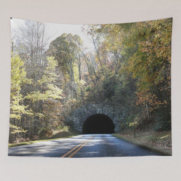 Item preview, Grassy Knob Tunnel designed and sold by StampCity.