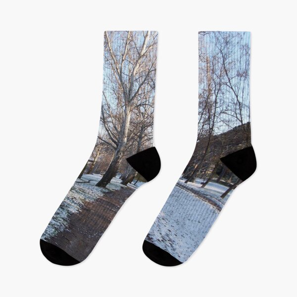Item preview, BIRCH TREES ROAD IN SNOW NEAR ARNO RIVER, WINTER LANDSCAPE IN TUSCANY FLORENCE  Photo designed and sold by BulganLumini.