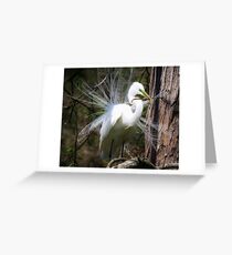 Great White Egret Greeting Card