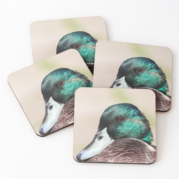 Artikelvorschau, Stockente mit blauem Schnabel entworfen und verkauft von GreyFeatherPhot.
