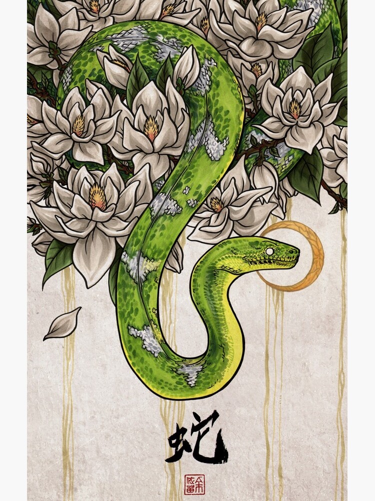 Snake by kiriska