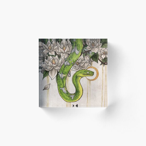 Serpiente Bloque acrílico