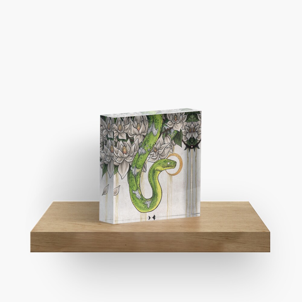Snake Acrylic Block