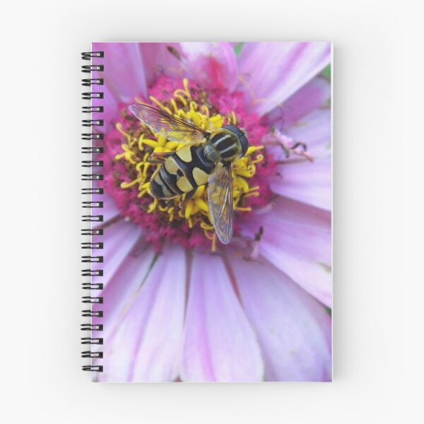 Item preview, Hover Fly On Zinnia designed and sold by WildestArt.
