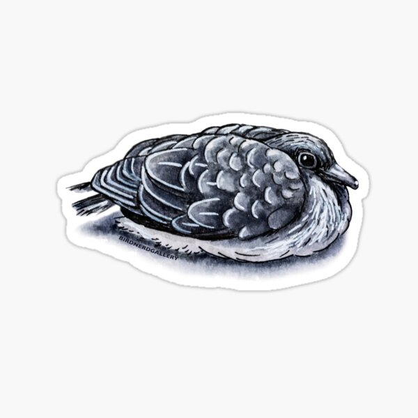 Little Dove Ink Drawing Sticker