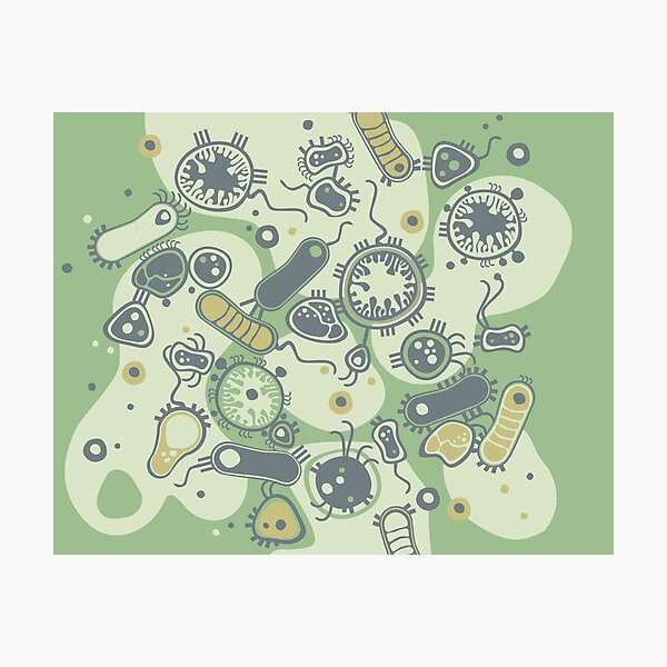 Eukaryote (grün) Fotodruck