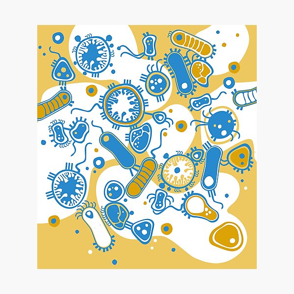 Eukaryote (gelb+ blau) Fotodruck