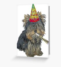 Yorkshire Terrier Birthday Greeting Card