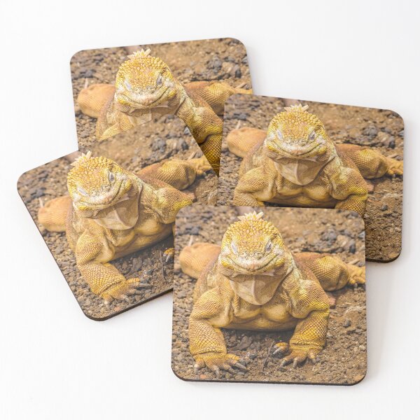 Item preview, Yellow Iguana, Galapagos Island, Ecuador designed and sold by DFLC Prints.