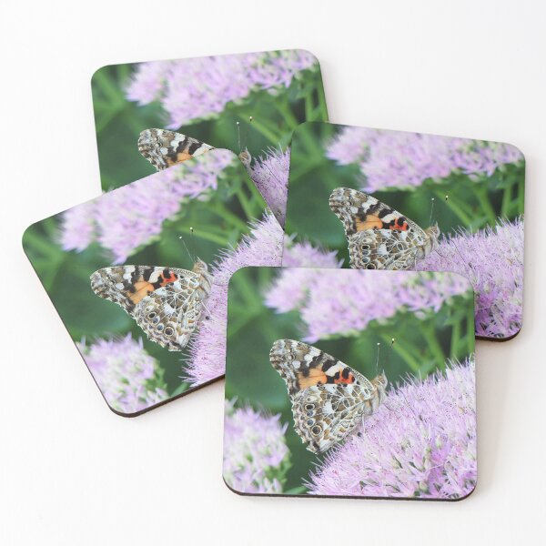 Item preview, Sweet Painted Lady designed and sold by Frankie Cat Photography.