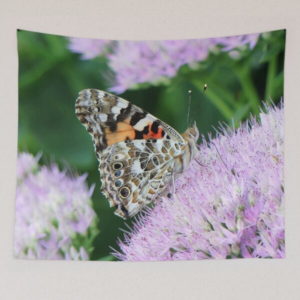 Item preview, Sweet Painted Lady designed and sold by Frankie Cat Photography.